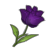 Fleur de rose Obscure