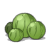 Graine de Pois