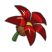 Fleur de Bulbiflore