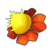 Fleur de Blop Griotte